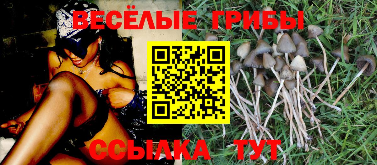 Галлюциногенные грибы MAGIC MUSHROOMS  Галлюциногенные грибы прущие грибы  Вход с VPN  Снежинск 