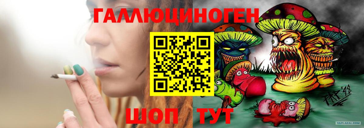 Галлюциногенные грибы Psilocybe Снежинск